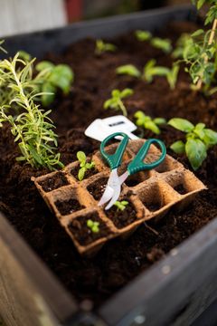 – Vil man godt fra start i haven i foråret, er det en god idé at forspire. På den måde hjælper man de små frø i gang, så de bedre kan klare sig, når de plantes ud i haven, hvor vejret kan være meget omskifteligt, siger Per Normann, der er hus- og haveekspert hos Biltema. Foto: PR.