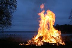 Hver år tændes flere hundrede Sankthansbål rundt omkring i Danmark. Desværre fanges mange dyr i bålenes flammer, fordi de ser kvasbunken som det perfekte skjulested. Dyrenes Beskyttelse opfordrer derfor til, at flytte og ombygge bålet, umiddelbart inden det tændes. Foto: David Mark. Til fri afbenyttelse.