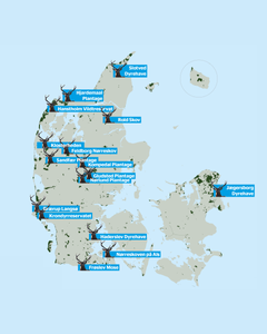 Kort over udvalgte områder i de statslige naturområder, hvor man kan opleve krondyrenes brunst. Kilde: Naturstyrelsen