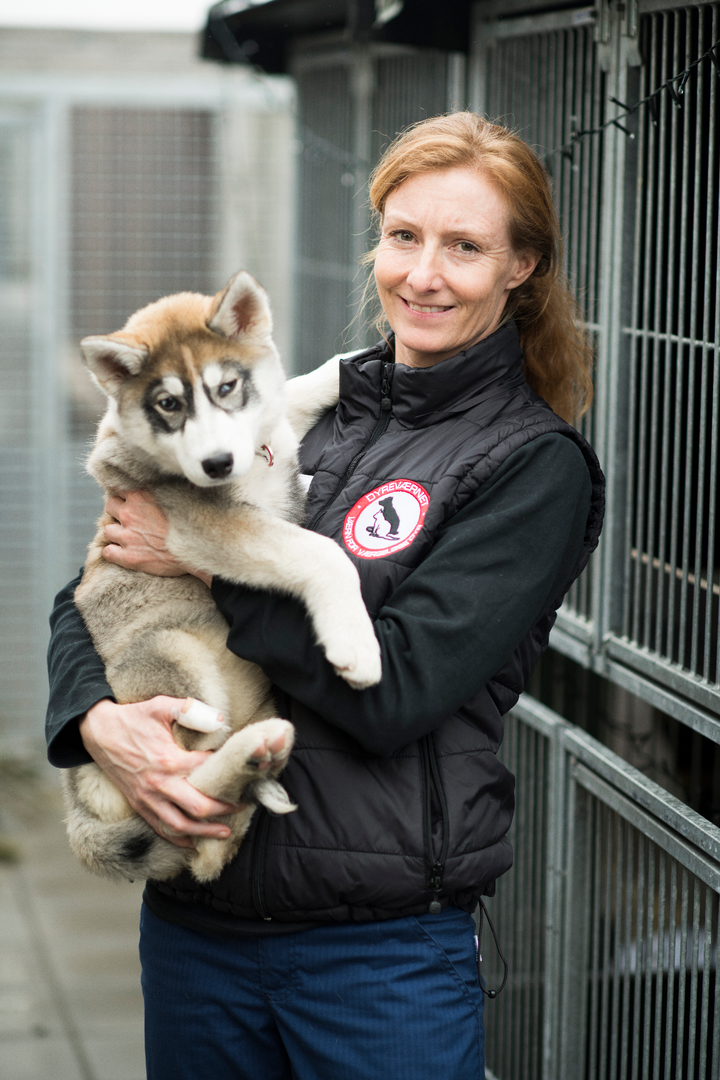 Direktør for Dyreværnet, Rikke Cristensen-Lee vil have fokus på dyr, hvis ejer er i fængsel. Foto: Anthon Unger/Dyreværnet