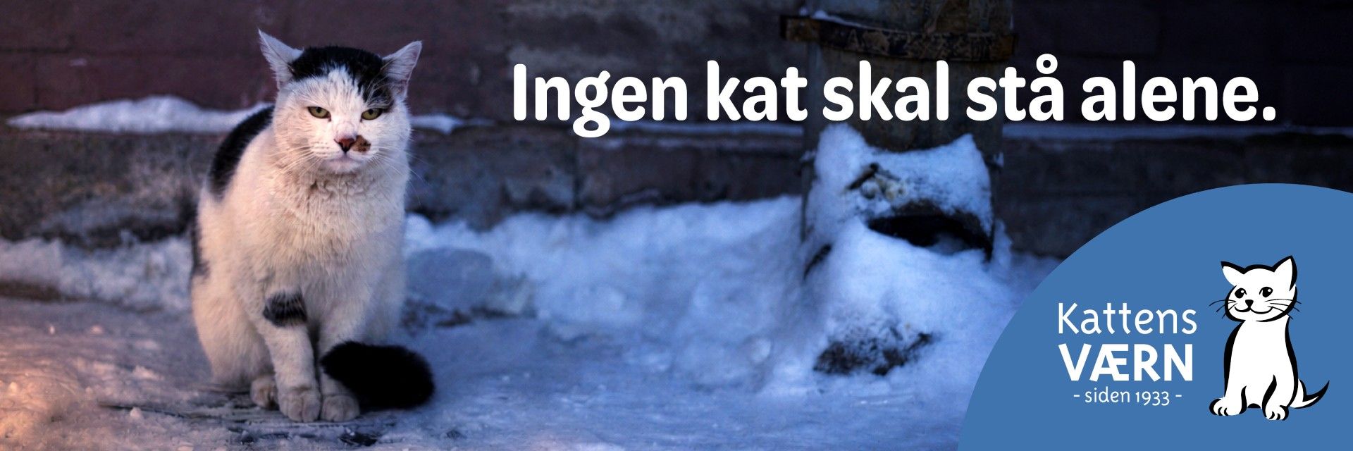 Kattens Værn