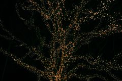 Danskerne er storforbrugere af lyskæder i juletiden. I de danske hjem findes over 3,3 millioner lyskæder, og de kan være både miljøsvinere og pengeslugere. Foto: PR.