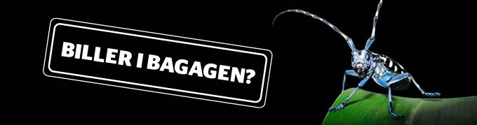 Landbrugsstyrelsen kører de kommende uger kampagnen: Biller i bagagen