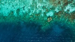 Luftfoto af koralrev ved Maldiverne