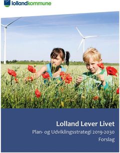 Plan- og udviklingsstrategi 2019-30 - Lolland Lever Livet