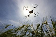 Teknologisk Institut understøtter bl.a. udviklingen af nye sensorstyrede teknologier og brug af data fra droner og satellitter i landbruget. Foto: Teknologisk Institut