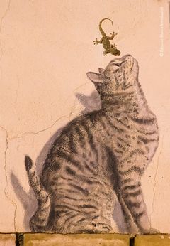 'Life and art' / 'Livet og kunsten' af Eduardo Blanco Mendizabal, Spanien ©
En gekko leder efter føde på et livagtigt vægmaleri af en kat i Corella i Spanien.