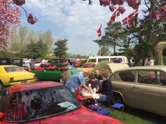 550 veteranbiler fra hele landet fyldte Jesperhus Blomsterpark ved sæsonåbningen Kr. Himmelfartsdag. Foto : Jesperhus