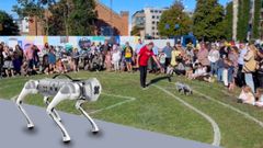 Robothunden Bella fik sit  navn af publikum under Robot Games Festival i Aarhus Festuge. Foto: Hans Klysner