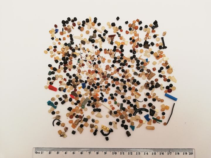 Mængden af plast fundet på overfladen af en halv m2 strand ved Hvide Sande.