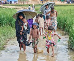 Når en flygtningekrise som rohingyaernes flugt til Bangladesh står på, giver SMS-indsamlinger hurtige resultater for Folkekirkens Nødhjælp. Foto: Paul Jeffrey.