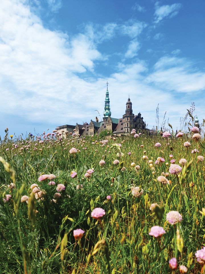 Kronborg_Slot_sommer_blomster_Nikki_Jeffries