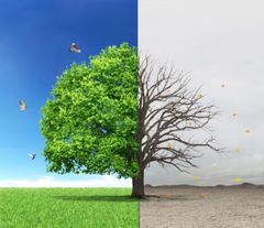 Markante forskellige i, hvordan klimaforandringer vil ramme de forskellige egne af Europa kræver i følge forskere yderligere fokus og politisk bevågenhed, hvis europæisk landbrug skal kunne nå at tilpasse sig til fremtidens klimatiske vilkår.  www.colourbox.com