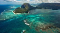 “Mange planter, og særligt på tropiske øer som Mauritius, er afhængige af, at dyr hjælper med at sprede deres frø. Hvis dyrene, der kan hjælpe med at sprede frøene, uddør, kommer planterne i problemer," siger forsker bag nyt studie. Foto: Unsplash.