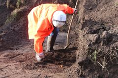 Arkæolog Emil Winther Struve undersøger knoglerne, der under udgravningen dukker op i tørvelagene. Foto: Christian Dedenroth-Schou, ROMU.