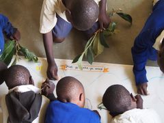 I klasselokalet er børnene færdige med at læse, og nu skal der tegnes. Inden længe er rummet fyldt med smukke tegninger, og børnene forlader lokalet med ny viden om planter og frugter. Foto: Laura Vang Rasmussen, IGN.