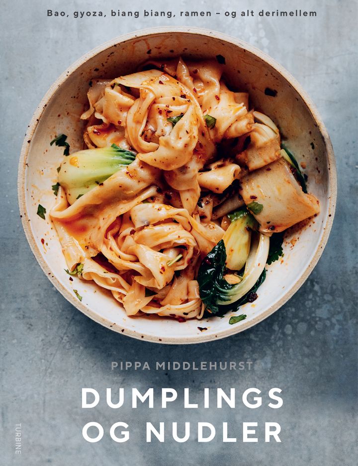 Forsiden til "Dumplings og nudler."