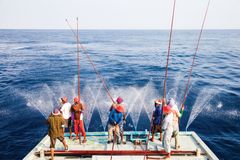 Bæredygtigt 'pole and line' fiskeri ved Maldiverne