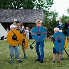 Vikingekrigere klar til kamp