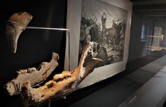 Både bjørnekæber og brave mænd, vilde konge og varm kakao er en del af oplevelsen, når Lejre Museum inviterer børnefamilierne ind i vinterferien. Foto: ROMU.