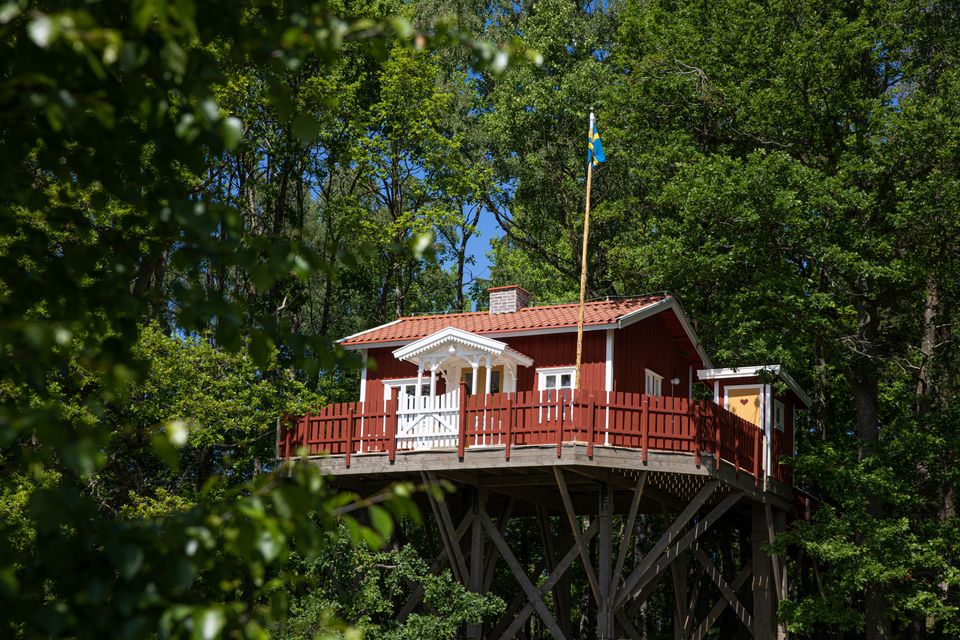 Islanna trädhotell, huset i trætoppene Foto: Tuana