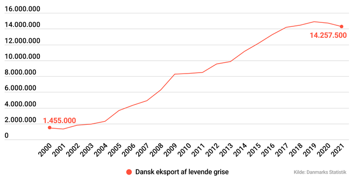 Danske landmænds eksport af svin er eksploderet, mens der har været hul i lovgivningen for beskyttelse af smågrise under 40 kg. Langt størstedelen af de eksporterede svin er smågrise. Kilde: Danmarks Statistik. Grafik: Dyrenes Beskyttelse