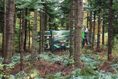 Liftene er derfor ikke kun beregnet til skovbrug, men også bygningsmontører og stilladsarbejdere kan have glæde af de nye forbedrede lifte fra leguan. Foto: PR.