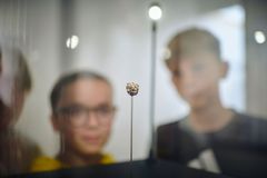 Birkebeg - er det tyggegummi? Billedet er fra udstillingen LOLA, hvor man blandt andet kan se den klump birkebeg, som der blev fundet DNA fra stenalderen i.  © Museum Lolland-Falster