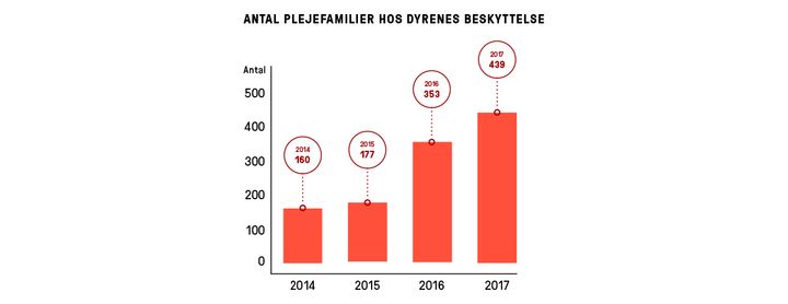 Antal plejefamilier hos Dyrenes Beskyttelses internater fordelt på årene 2014-2017.