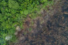 Luftfoto af afskovning i Amazonas regnskoven. Fotograf; Andre Dib / WWF-Brazil
