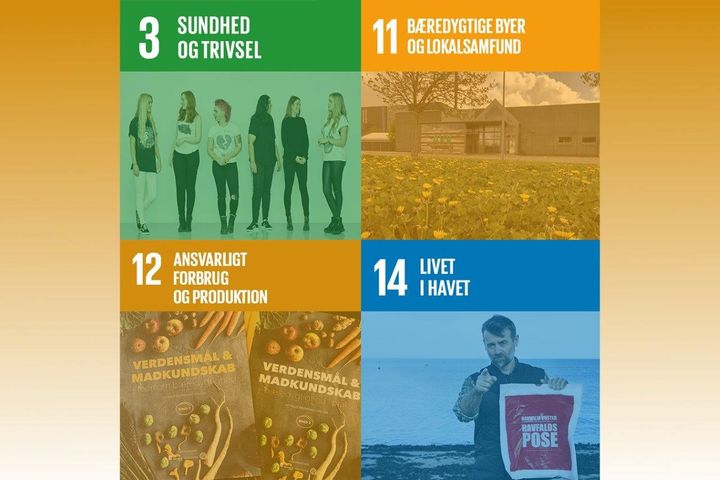 Det er fem år siden, at FN vedtog 17 Verdensmål, som verdens nationer forpligtede sig til. Men trods fem års kampagner og investeringer er det fortsat kun 11 procent af danskerne, som kender til målene. Foto: PR.