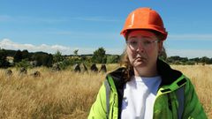 Arkæologen er fortvivlet i Lejre Museums nye sommer-skattejagt - nogen har nuppet noget af den uerstattelige gravskat! Så der er brug for hjælp! Foto: Museumskoncernen ROMU