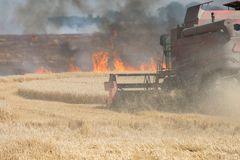 Sidste år var der mange brande i markerne i Danmark, selv om landbruget gjorde, hvad de kunne for at slå brande under høsten ned. Følg Topdanmarks råd i år for at undgå brand under høsten. Foto: RECCE/Colourbox