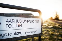 Aarhus Universitets forskningscenter i Foulum, AU Viborg. Foto: AU Foto.