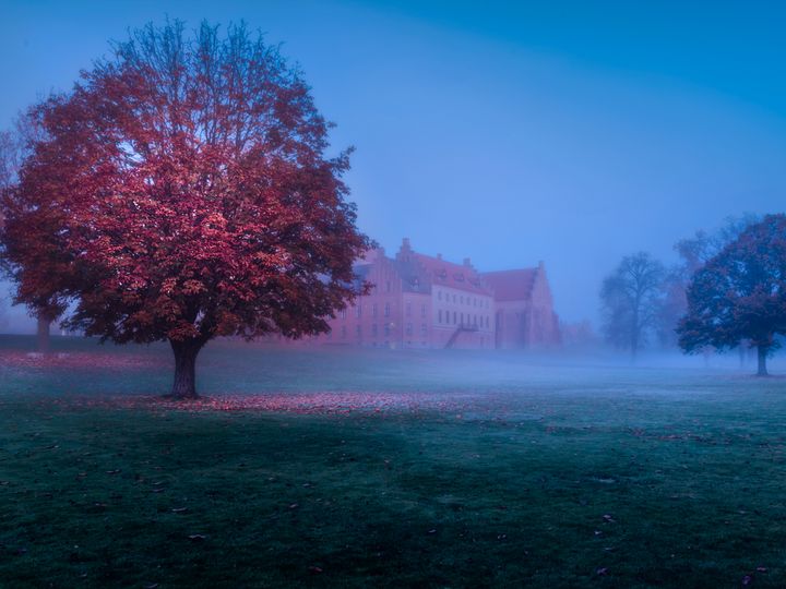 Foto: Michael Herlo Kristiansen