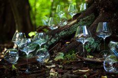 Når det kommer til glassenes størrelse er god tommelfingerregel, at jo større vin, jo større glas. Derfor vil man oftest se rødvine serveret i større glas end hvidvine. Foto: PR.