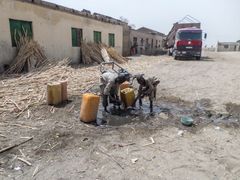 Børn i Rann i Nigeria samler vand ind. (Kan bruges frit ved kreditering ©Læger uden Grænser)