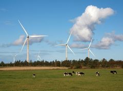En af de store benspænd i den grønne omstilling er: Hvordan skal vi lagre overskydende strøm fra vindmøller? Det er et af de emner, der bliver behandlet på online-konferencen "Green Digitalization"