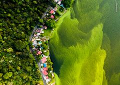 © Daniel Núñez vandt konkurrencens katagori 'Vådområder' med sit dronefoto af alger i Amatitlán-søen.