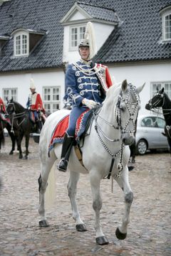 Garderhusar til hest.