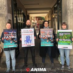 Aktivister fra Anima protesterer foran Den Spanske Stats Turistbureau i København.