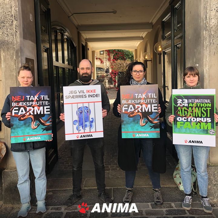 Aktivister fra Anima protesterer foran Den Spanske Stats Turistbureau i København.