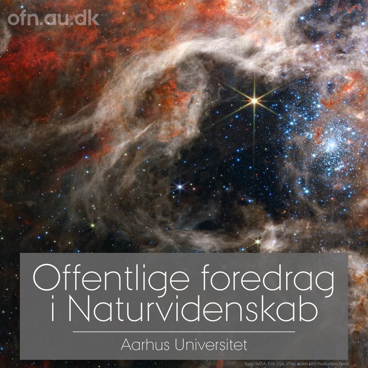 De fjerne stjerner kommer lidt tættere på ved aftenens foredrag. Foto: Aarhus Universitet