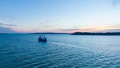 I meget smukke omgivelser fisker Vilsund Blue hver dag efter fisk og skaldyr i Limfjorden, som havner på mange danskeres tallerkner.