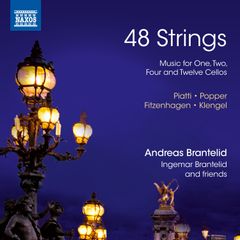 48 Strings Album Cover