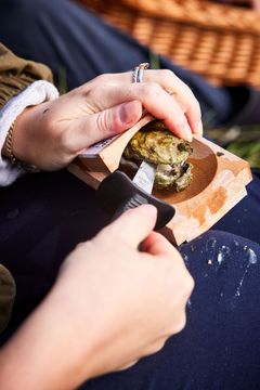 På Danmarks Østersfestival kan du komme på guidede østersture og lære at bruge en østerskniv. Foto Søren Gammelmark