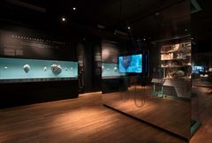 Steno Museet genåbner tirsdag 18. januar 2022. Her kan man bl.a. gå på opdagelse i den prisvindende udstilling "Videnskab er lidenskab." Foto: Michael Dupont