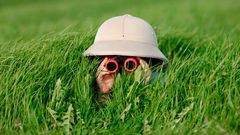 Roskilde Museum inviterer i sommerferien til 'Løvejagten - en safari for hele familien'. Foto: Shutterstock