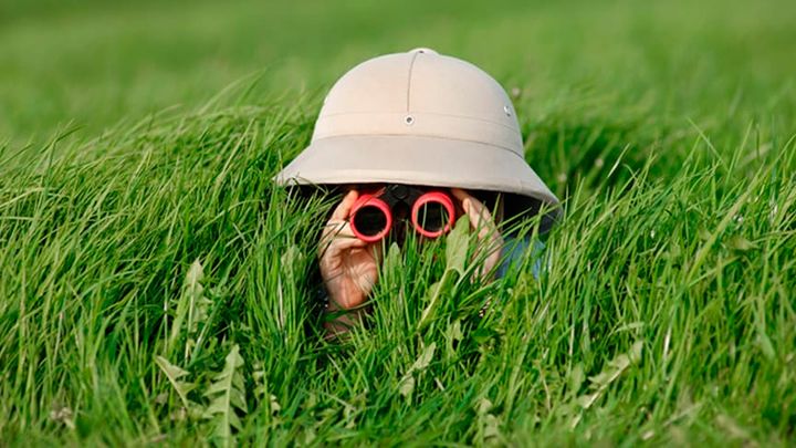 Roskilde Museum inviterer i sommerferien til 'Løvejagten - en safari for hele familien'. Foto: Shutterstock