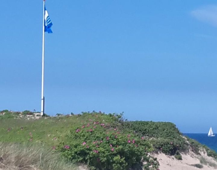 Det Blå Flag er hejst ved Liseleje strand